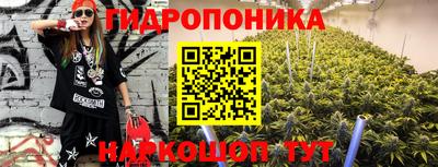 твердый Краснознаменск