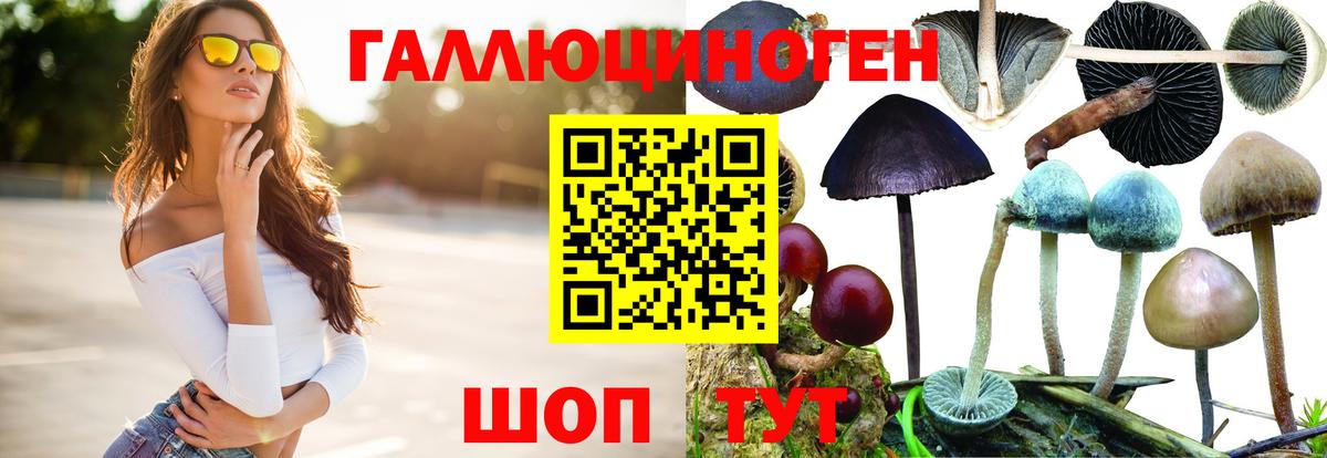 купить  сайты  Вход с VPN  Чайковский  Псилоцибиновые грибы Magic Shrooms 
